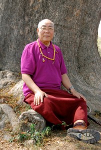 Lama Lodu Rinpoche 